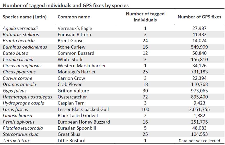  Table of Species Stats-4 July 2012-S.Shinneman
